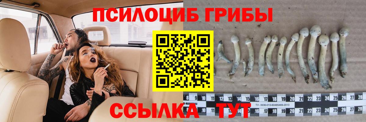 Галлюциногенные грибы мухоморы  цены наркотик  Качканар  Псилоцибиновые грибы ЛСД  Вход с VPN 