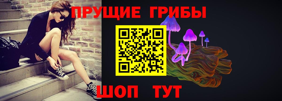 Галлюциногенные грибы Psilocybine cubensis Качканар